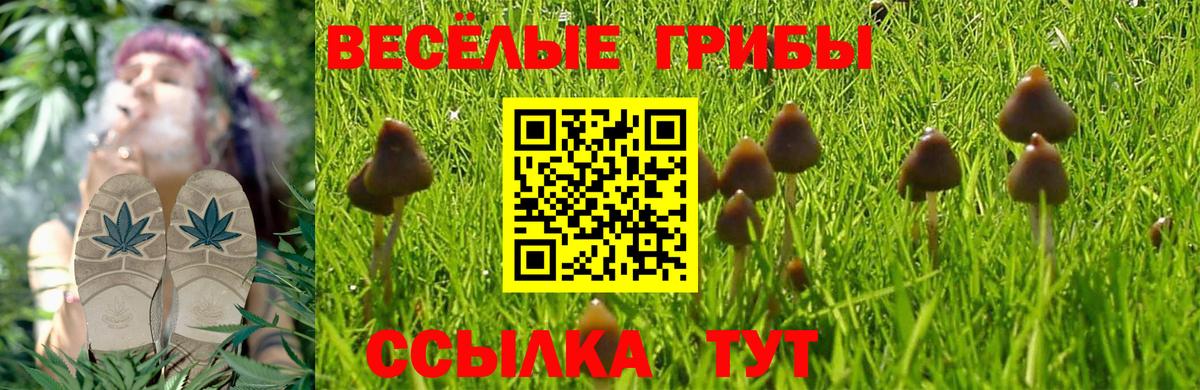Галлюциногенные грибы GOLDEN TEACHER Дербент